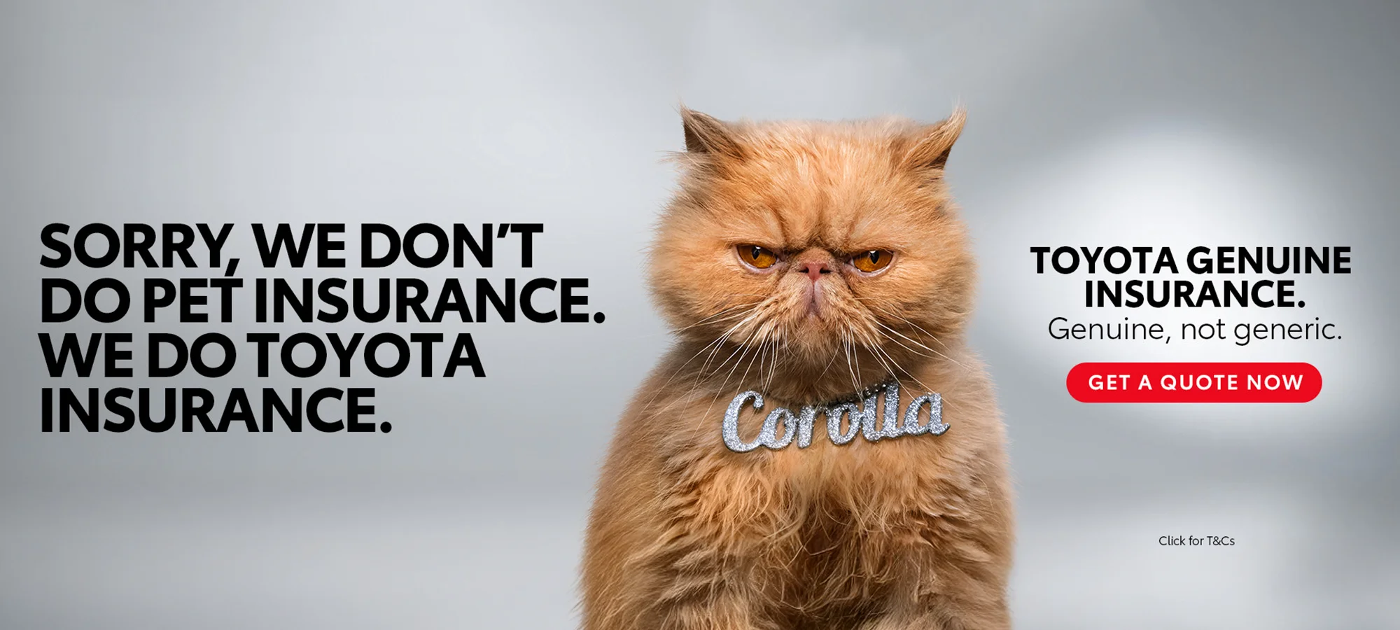 Insurance Hp